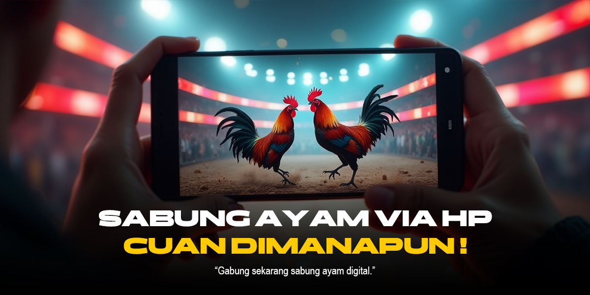 Mengenal Dunia Sabung Ayam: Provider, Jenis Ayam, dan ODS yang Perlu Anda Ketahui